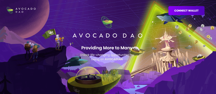 Avocado Guild